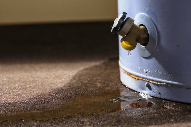Best Mold removal after water damage  in Village Of Four Seasons, MO