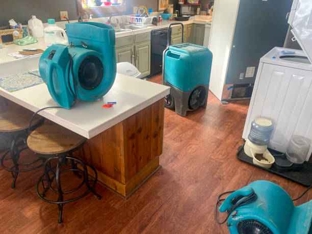 Best 24/7 water damage repair  in Village Of Four Seasons, MO