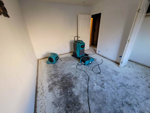 Best Commercial water damage restoration  in Village Of Four Seasons, MO