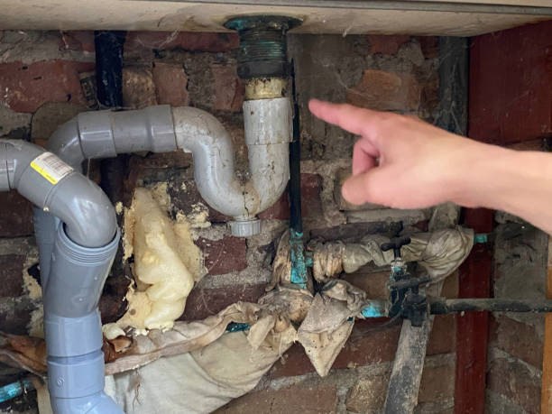 Best Flooded house restoration  in Village Of Four Seasons, MO